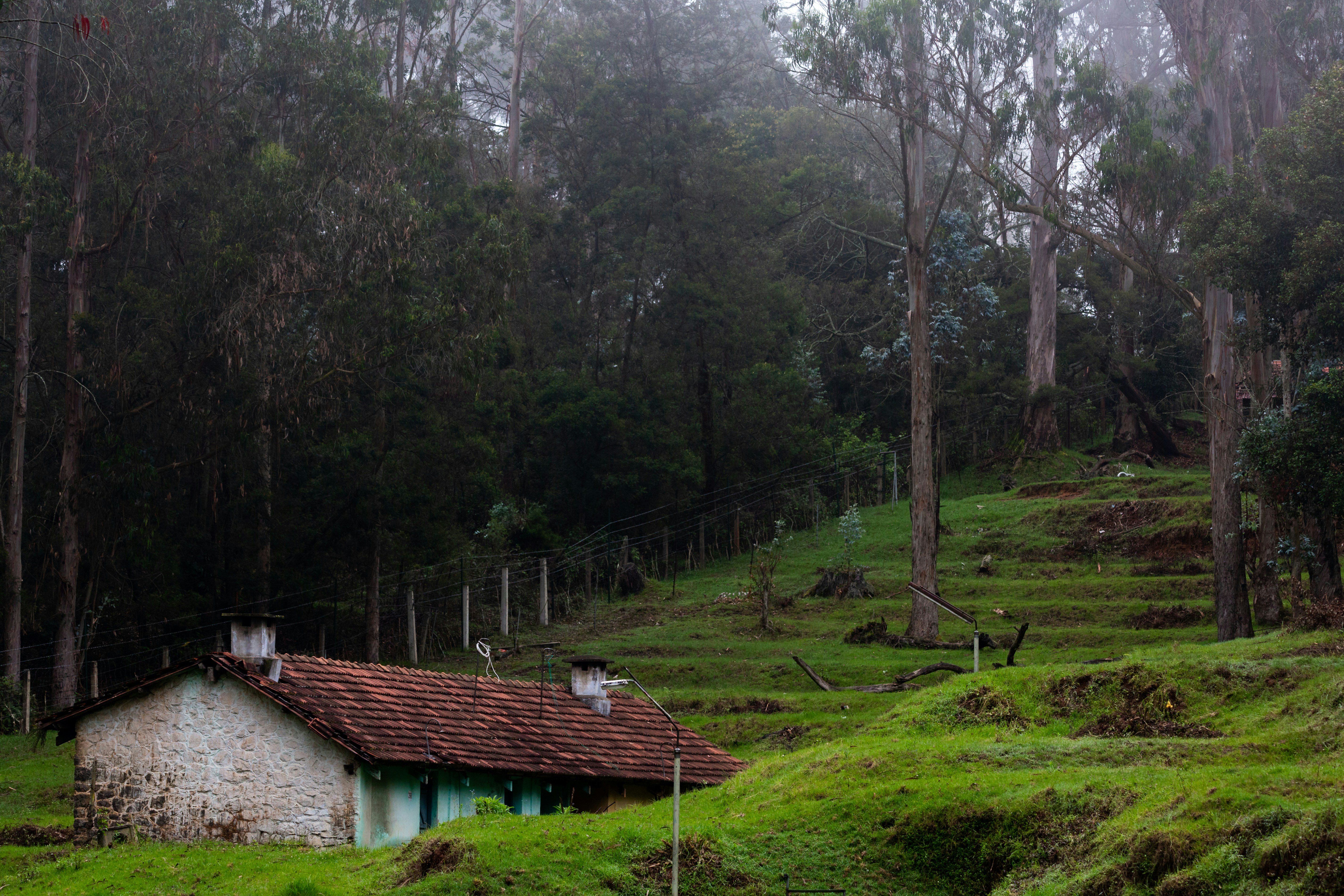 Kodai Lake banner