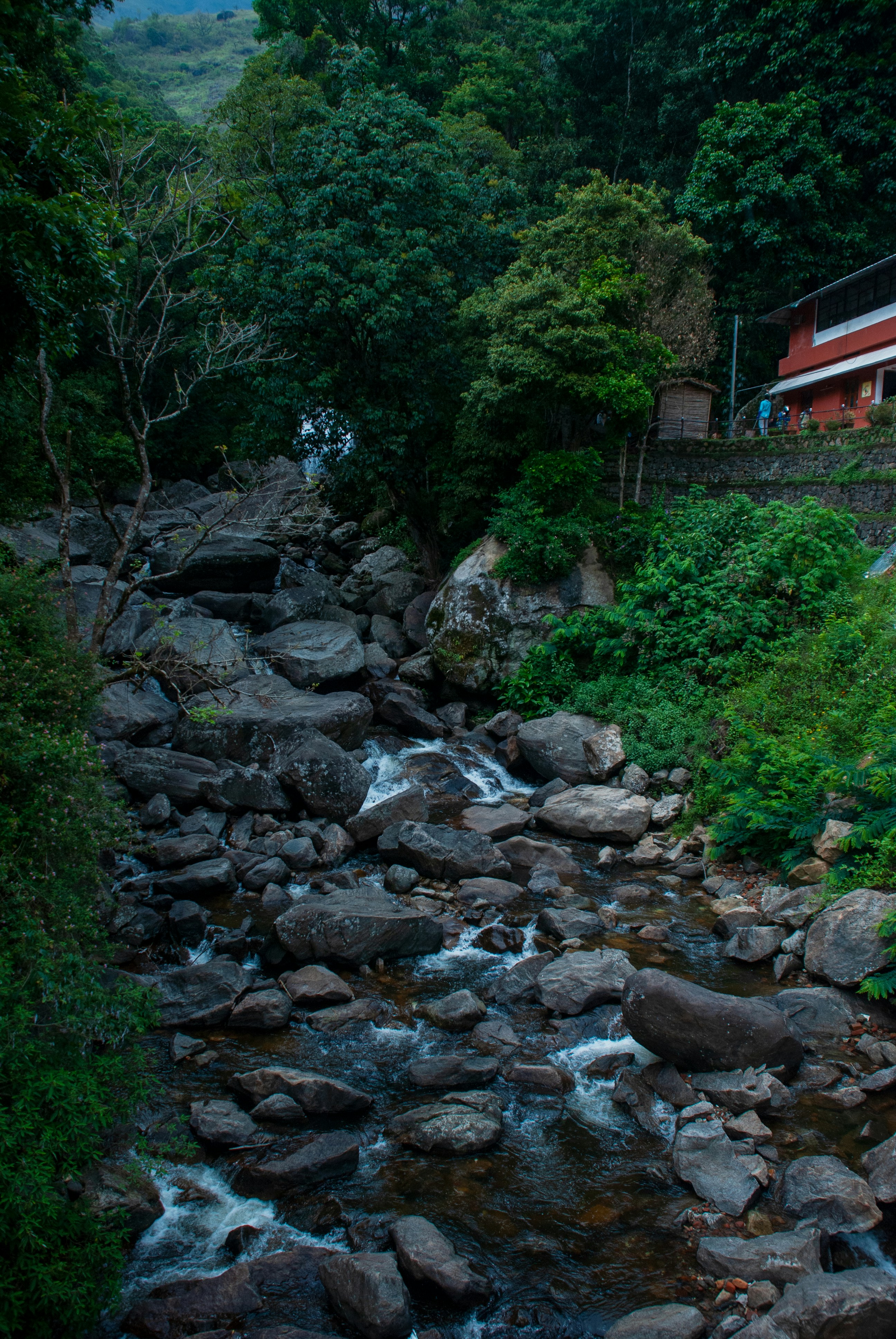 Munnar tea plantations