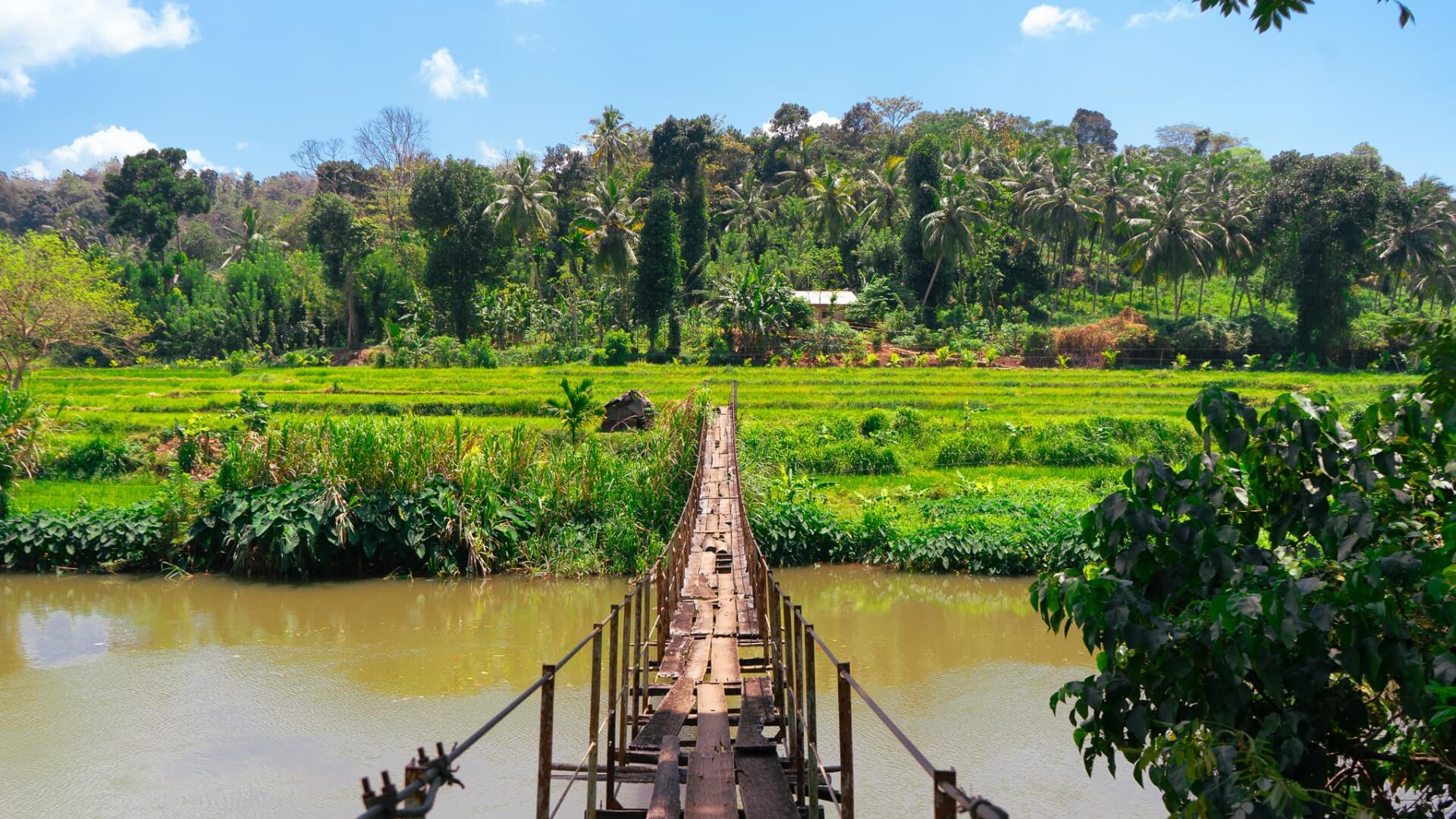 Dambulla Cave Temple